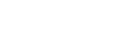 Fiesta Auto Group